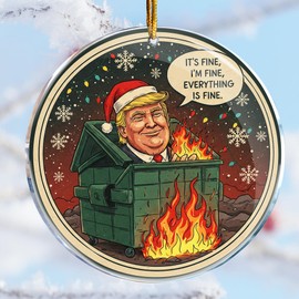Christmas Ornaments - Christmas Decorations - Gag Gifts - Nasty Naughty Gifts - White Elephant - Stocking Stuffers (Fire Dumpster 3 - It's Fine I'm Fine Hilarious Adult Naughty Funny)