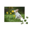 puzzleYOU: 100 Piece Little Curious Rabbit - Puzzle Collection Rabbits,
