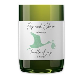 Baby Shower Mini Champagne Labels - Ready To POP Cheer Bottle Labels ● SET of 12 ● Thank You for Celebrating with us - Gender Neutral Mint Stork Bundle of Joy Favors Waterproof M103-STORK-12