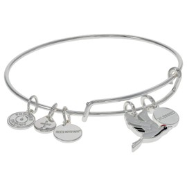 Alex and Ani Blessed Crane Charm Bangle Bracelet, Shiny Silver Finish, 2 to 3.5in