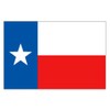 Texas (USA State) Flag 5ft x 3ft