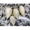 American Seed White Coyote Zan Pepper Seeds USA Grown