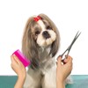 Double Sided Fine Tooth Comb for Adults Dog Cat Pet's