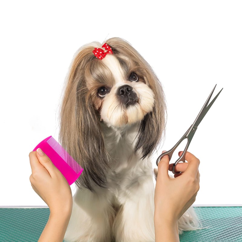 Double Sided Fine Tooth Comb for Adults Dog Cat Pet's