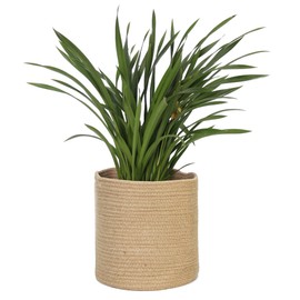 MEGASKET Woven Jute Plant Basket, Wicker Basket Planter for 10 inch Pot, Round Indoor Outdoor Tree Pot Cover, Small Boho Storage Bin Organizer, Rustic Basket for Plants and Home Decor, 11”X11”