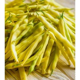 Unbranded 50 + Top notch Golden Wax Bush Bean snap NON-GMO, organic