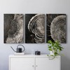 Renditions Gallery Circular Patterns Wall Art Monochrome Shadows Of Time