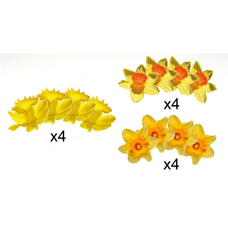 AK Giftshop Daffodil Flower Easter Bunting Party Decorations - 12pcs