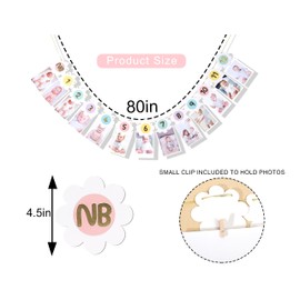 Daisy Monthly Milestone Photo Banner - Boho Daisy 1st Birthday Decor, Pastel Rainbow Daisy First Birthday 12 Month Photo Garland, Groovy One First Birthday Decoration for Girls