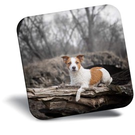 Destination Vinyl ltd Fridge Magnet - Cute Jack Russell Terrier Dog Puppy for Office, Cabinet and Whiteboard, Magnetic Stickers, 44783