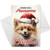RED OCEAN Dog Christmas Card with Envelope Pawesome Greeting Card