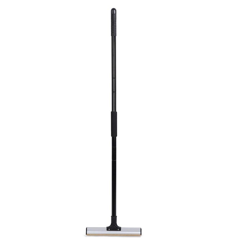 Pet Hair Removal Broom Adjustable Long Handle Carpet Rake Portable