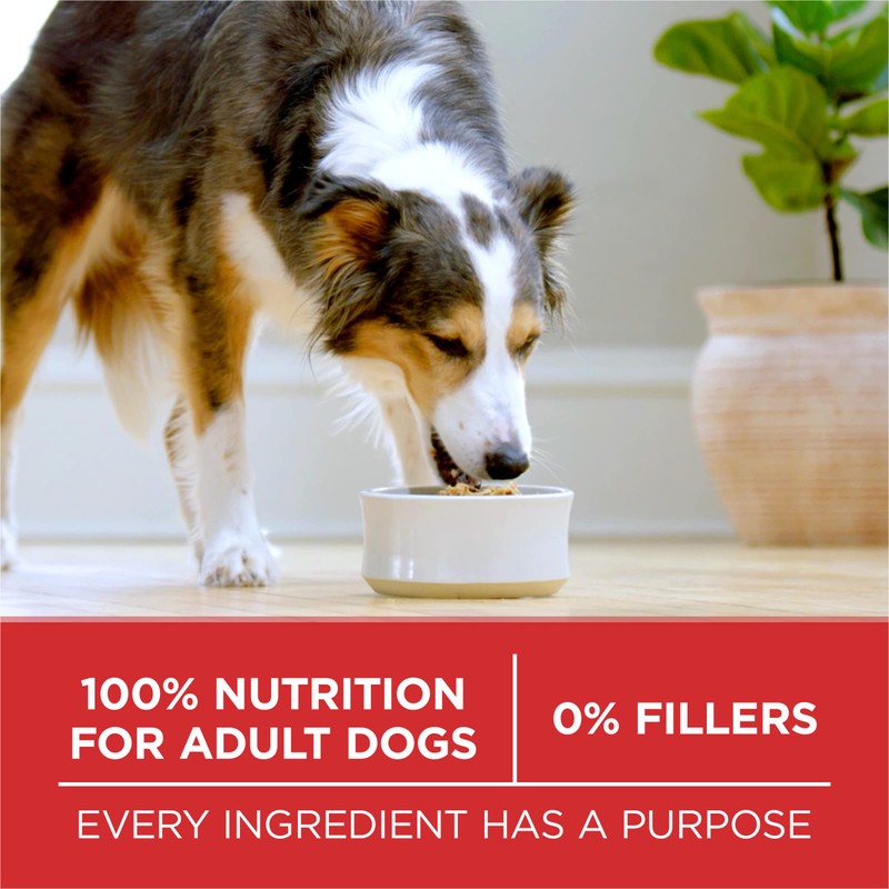 Purina ONE Chicken and Rice Formula Dry Dog Food -