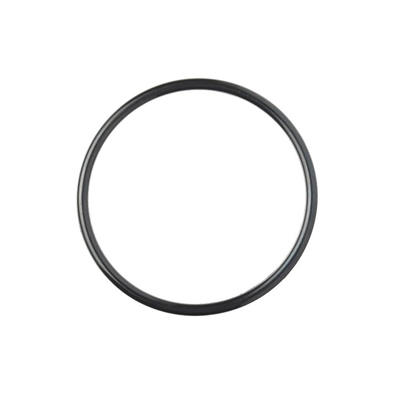 TOTO O Ring TH93016H