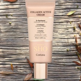 Rodin Show Skin Conditioning Skin Moisture Active Moisturizing Collagen Nutrition Cream 2 x 50ml / 로댕쇼 피부컨디셔닝 피부촉촉 피부수분 엑티브 보습 콜라겐 영양 크림 2개 50ml