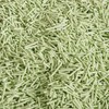 FOURPAW Tofu Cat Litter Green Tea 5.5 Lbs, Flushable Clumping