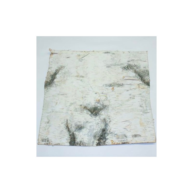Wilson Birch Bark (12" x 12" 2 Pack)