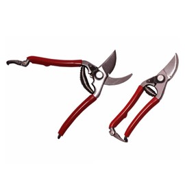 Sanpro Professional Pruning Shears 190 mm (Pruning Shears, Vine Shears, Garden Shears, Vine Tree, Branch Hardened, High Quality) Size: 190 mm