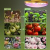 HONORSEN LED Grow Lights for Indoor Plants, Full Spectrum Plant