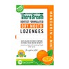 TheraBreath Dry Mouth Lozenges with Zinc, 100 Lozenges, Mandarin Mint,
