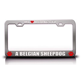 My Heart Belongs to A Belgian Sheepdog Pet Cats Dogs Metal License Plate Frame Style 5 Chrome