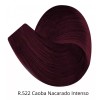 Color Tech Tinte Recargado R.522 Caoba Nacarado Intenso 90g