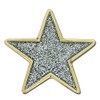 Glitter Star Badge Lapel Pin 10 Pack (Silver)