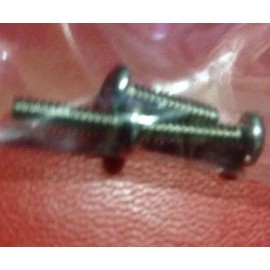 Petsafe UPGRADED OEM SCREWS 1 Set For Small Freedom Door by PetSafe PAC11-11037