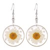 FM FM42 Multi-Colored Pressed White Daisy & White Queen Anne's