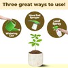 Oak Tree Fertilizer – Liquid Plant Food for Healthy Tree