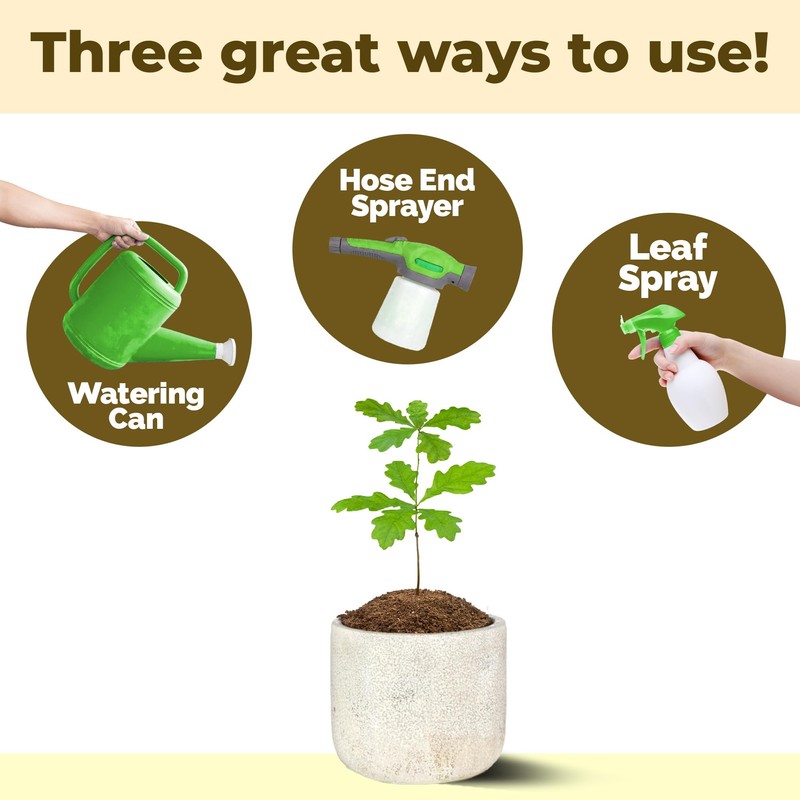 Oak Tree Fertilizer – Liquid Plant Food for Healthy Tree