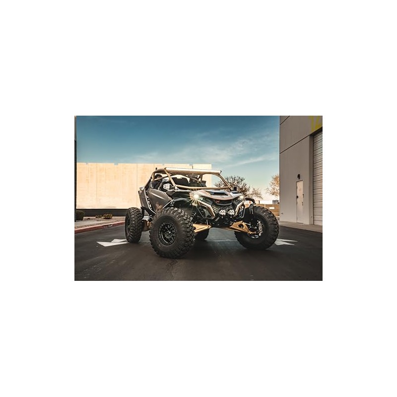 Can-am Maverick R BRP Go Front & Rear RCA Output