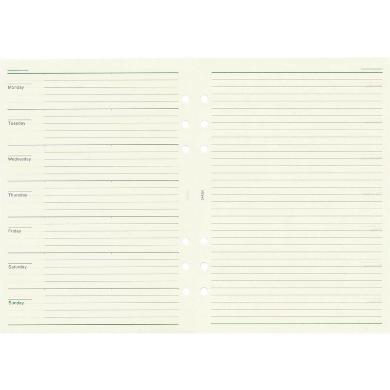 レイメイ藤井 ダヴィンチ リフィル フリーウィークリーB A5サイズ DAR291