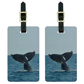 Humpback Whale Tail - Watching Ocean Save the Luggage Tags Suitcase ID Set of 2