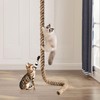 2" x 9.84Ft Cat Climbing Rope with Hook for Ceiling