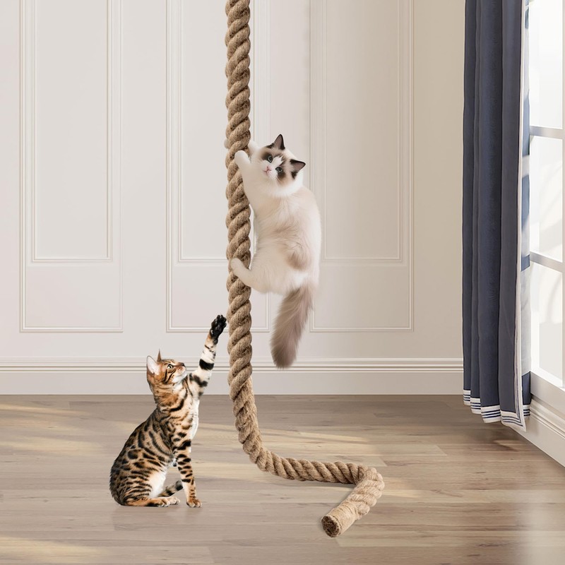 2" x 9.84Ft Cat Climbing Rope with Hook for Ceiling