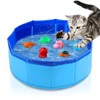 Cat Water Toy with 6 Floating Fish - Interactive Water