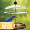 Garden Mile Hanging Bird Feeder Mealworm and Suet Feeder for