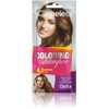 Cameleo - Tint Shampoo – Brown – Quick and Easy