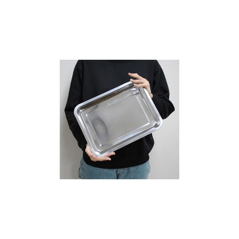 ASTRO PRODUCTS 03-05820 Stainless Steel Tray M 03-05820