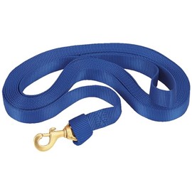 Weaver Leather 35-7043-BL Flat Nylon Lunge Line, Blue, 1" x 30'