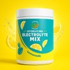 Electrolyte Powder – Zero Sugar Lemon Hydration Mix | 90