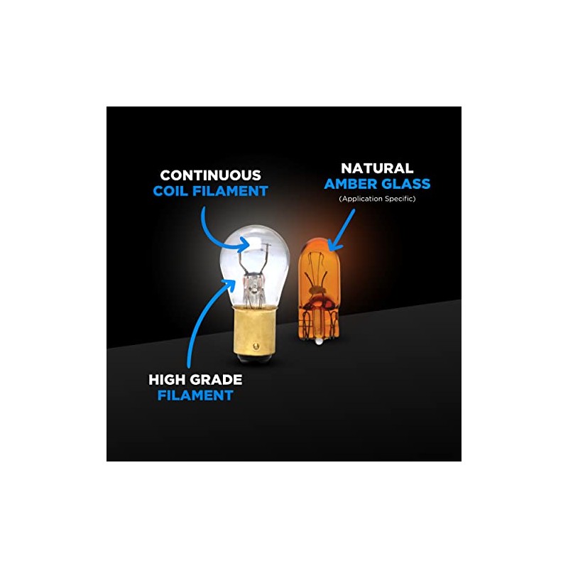 Wagner Lighting 3156 Standard Multi-Purpose Light Bulb Box of 10