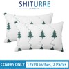SHITURRE Set of 2 Sping Floral Decorative Throw Pillow Covers