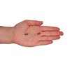 Pack of 100 Painted Blind Rivets 3.2 x 8 mm,