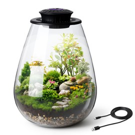 Widecook Desktop Glass Terrarium with Grow Light, 6.7 x 8.7 Inches, Mini Borosilicate Glass Plant for Succulent Moss Miniature Gardening Landscape, Small Fish Tank, Indoor Plant Growth, Empty Bottle