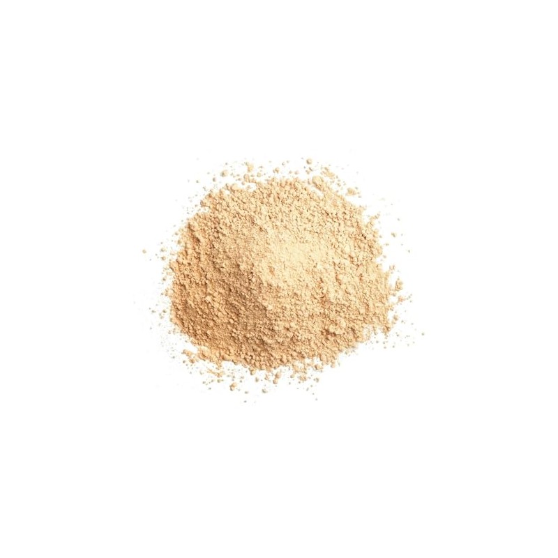 NutriCraft Organic Lion's Mane Mushroom Powder (1kg)