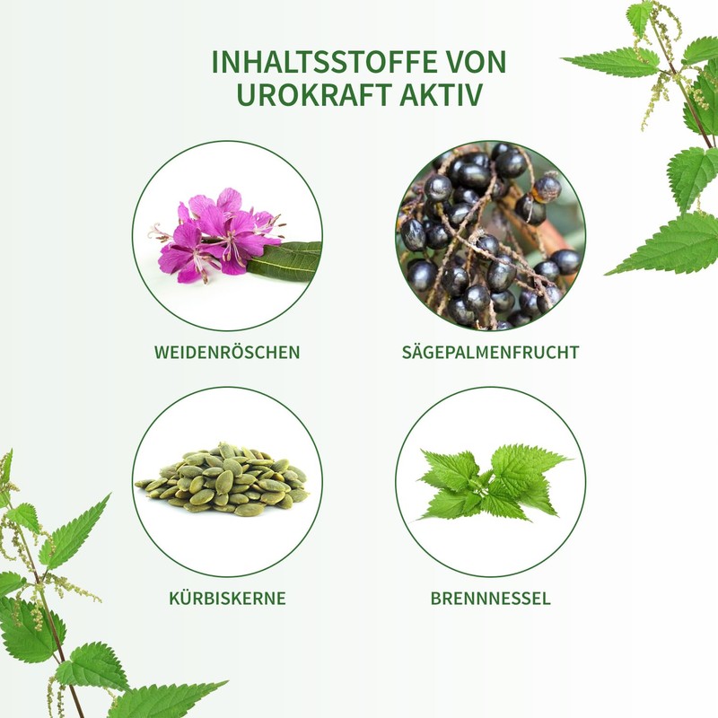 BodyFokus UroKraft Active | Unique Composition - 60 Capsules -