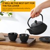 Velaze Iron Tea Cups, Japanese Style Enameled Cast Iron Teacup