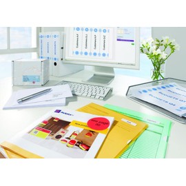 Avery Zweckform C32266-25 Folder Labels for Narrow Folder Spines by Leitz + Elba Microperforation 170g 30 x 190 25 Sheets Micro-Perforated